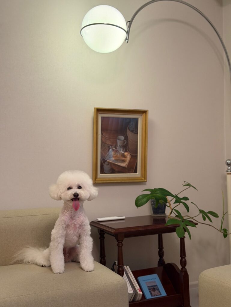 로쥬멍 절충안 숙소와 돌체