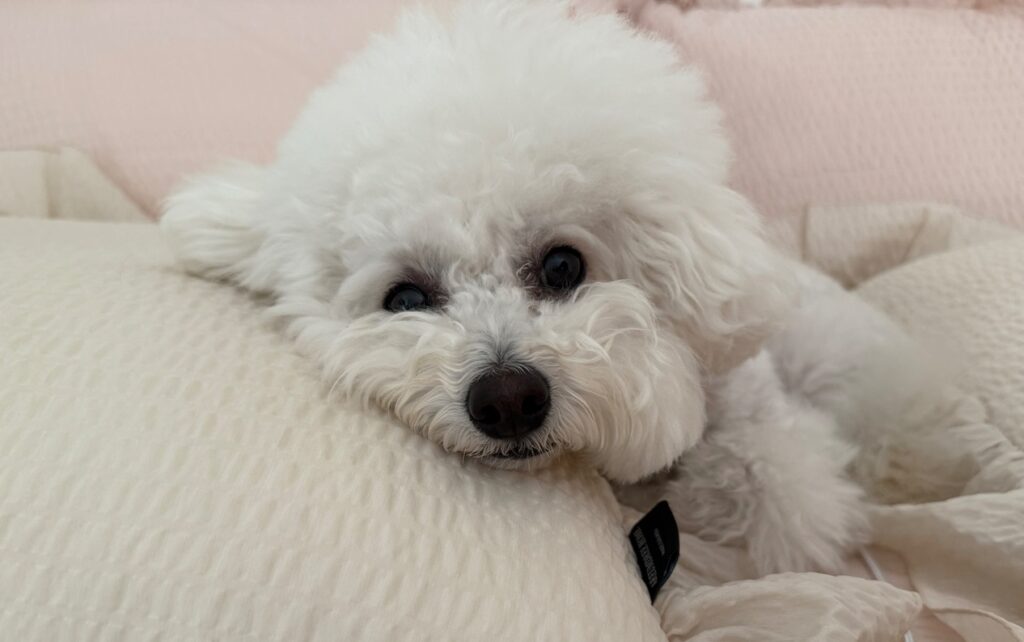kakaotalk photo 2026 06 21 16 04 50
