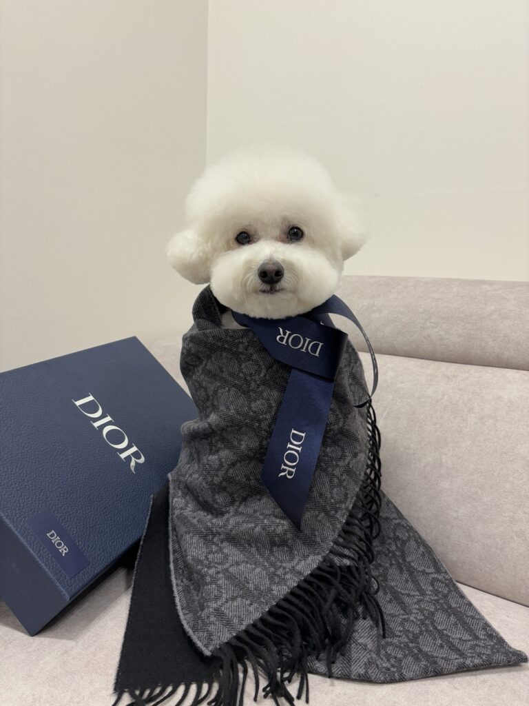 kakaotalk photo 2026 06 21 16 07 51