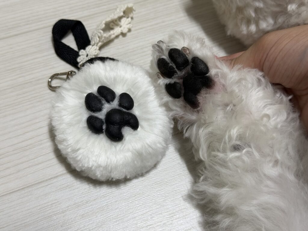 kakaotalk photo 2026 06 21 18 18 56 008