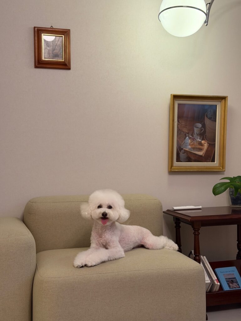 숙소에 도착하고 금방 편안해진 돌체