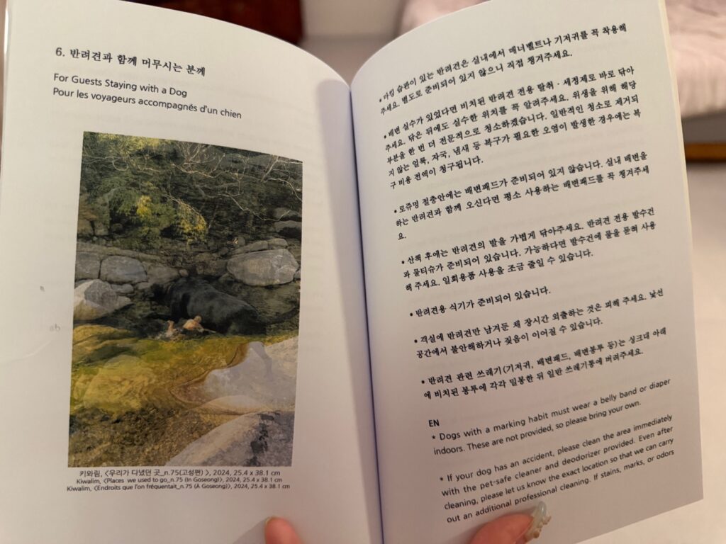 애견동반 이용 수칙